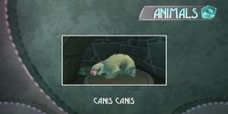 une photo d'Ã©cran de Beyond Good and Evil sur Nintendo Gamecube